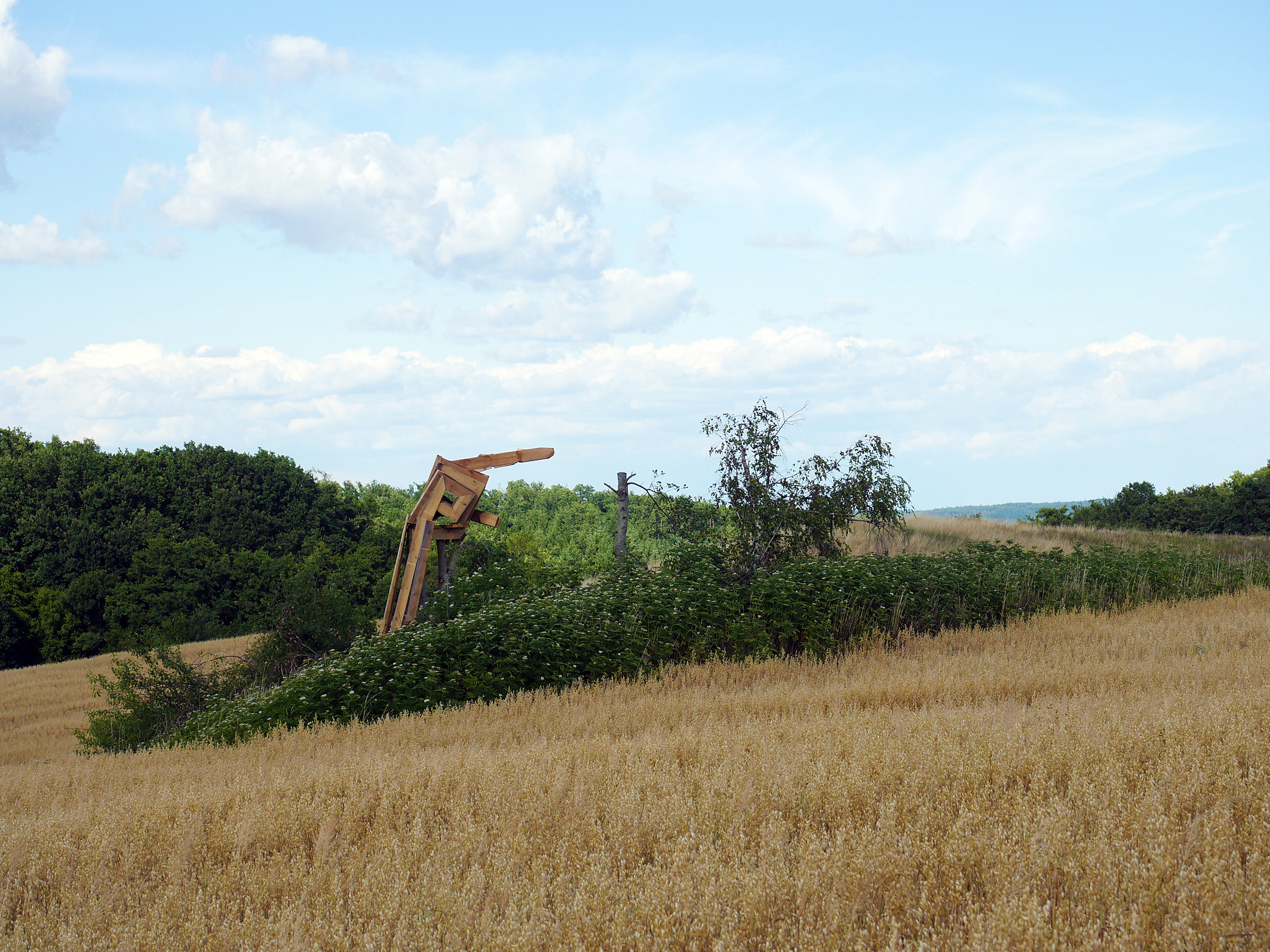 Der Weiser_kunstindernatur_(C) Brigitte Sasshofer (2)
